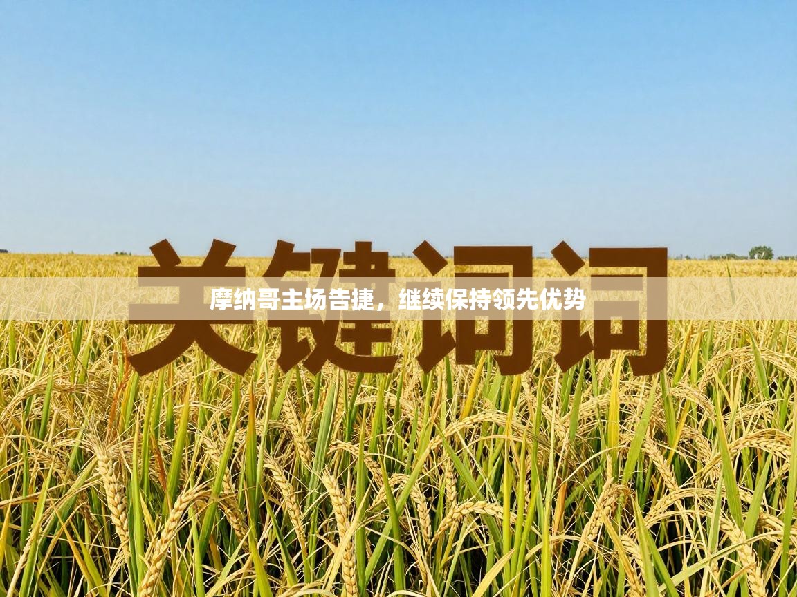 摩纳哥主场告捷，继续保持领先优势