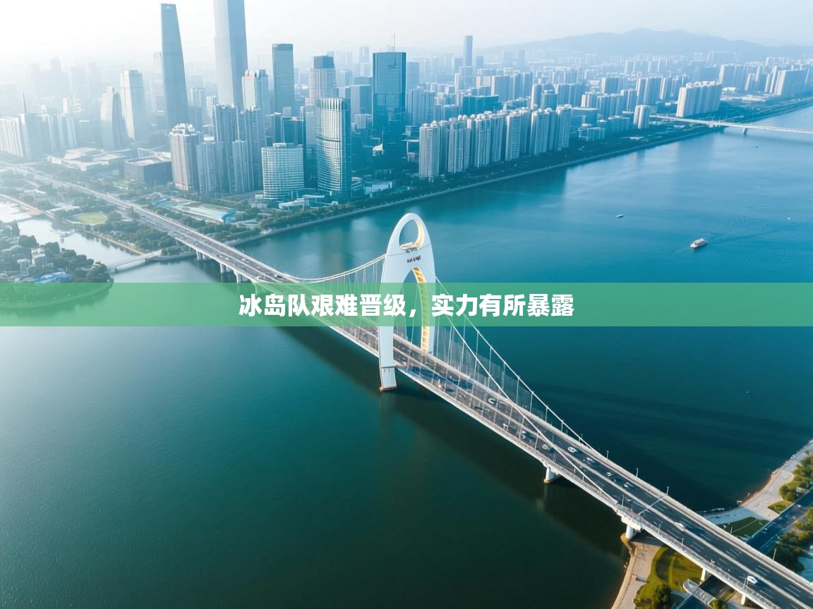 冰岛队艰难晋级,实力有所暴露 第1张